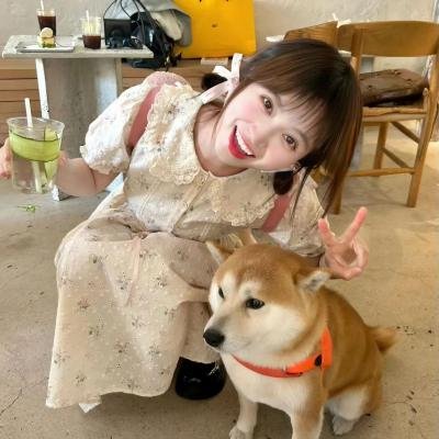 无证之爱